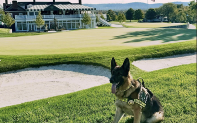 K9 Sgt. Lanzer Reminds Us to Enjoy The Journey